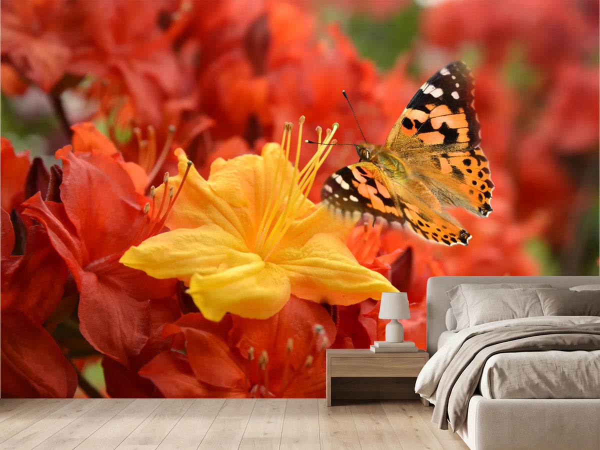 photo-wallpaper-butterfly-498