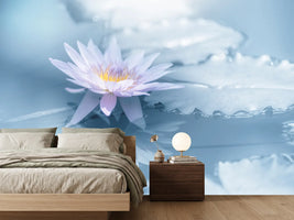 photo-wallpaper-reflection-xbu