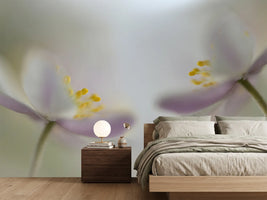 photo-wallpaper-soft-whispering