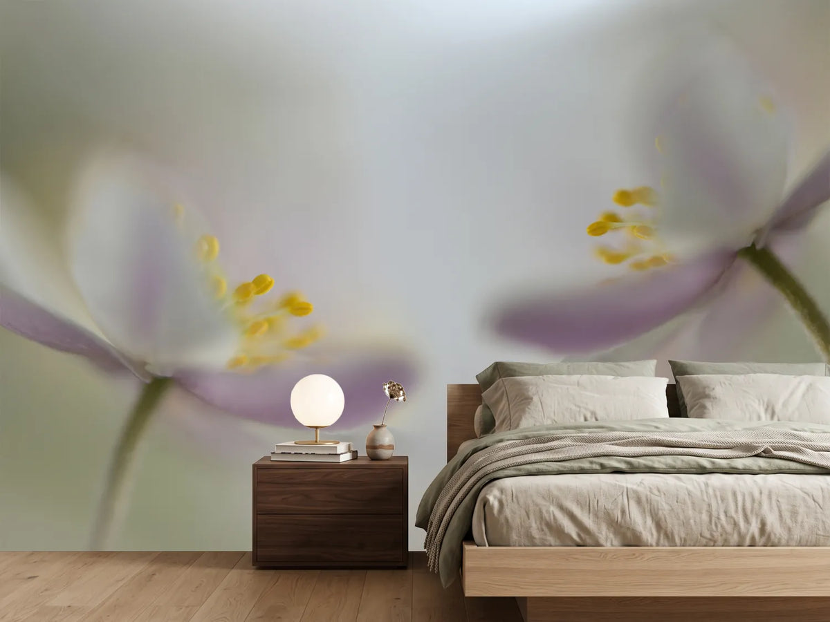 photo-wallpaper-soft-whispering