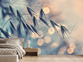 photo-wallpaper-straws