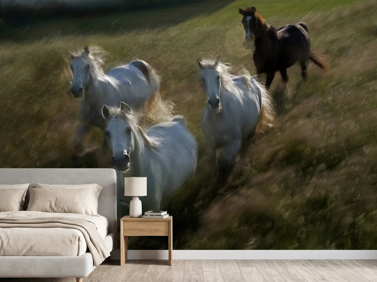 photo-wallpaper-gallop-in-x