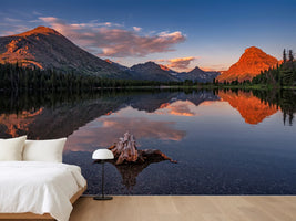 photo-wallpaper-delightful-dawn-x