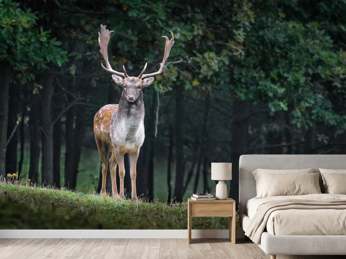 photo-wallpaper-the-fallow-deer-ii