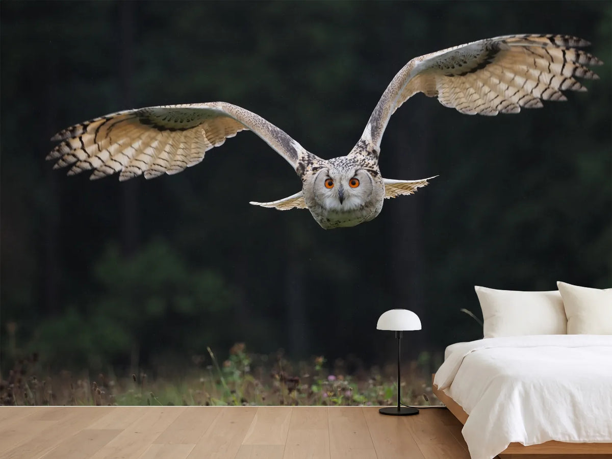 photo-wallpaper-the-owl