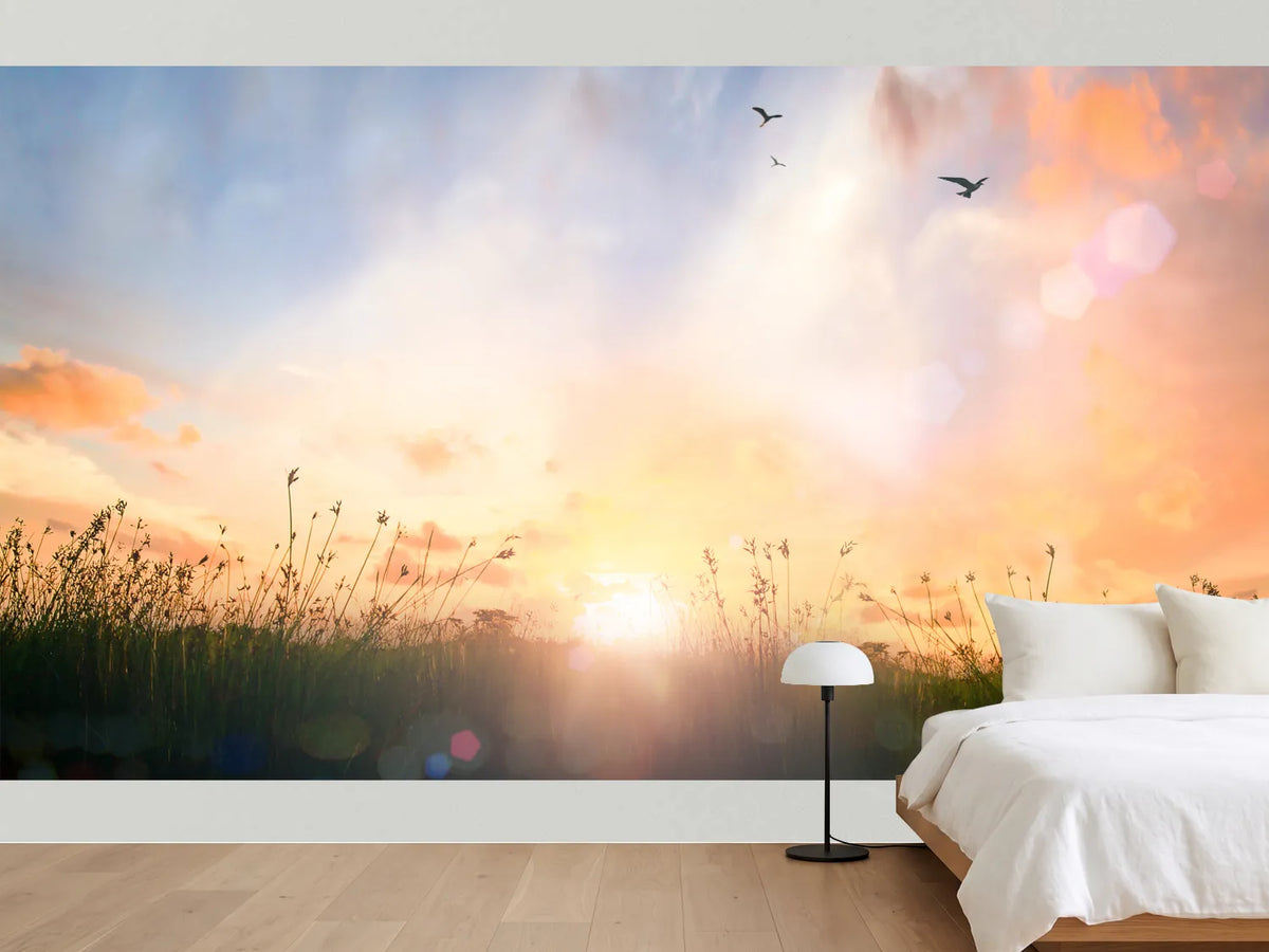 photo-wallpaper-sunrise-over-the-meadow-with-birds-in-golden-light