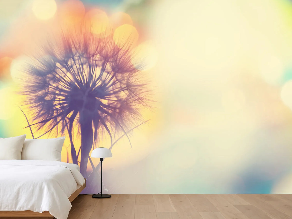 photo-wallpaper-the-dandelion-in-the-light