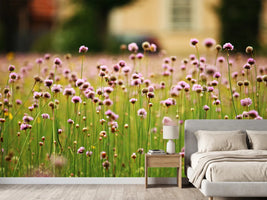 photo-wallpaper-a-meadow-full-of-flowers