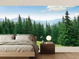 photo-wallpaper-beautiful-pine-trees