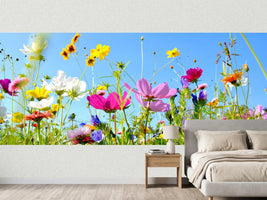 photo-wallpaper-flower-meadow-background-panorama-summer-flowers