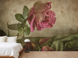 photo-wallpaper-tear-of-rose-x