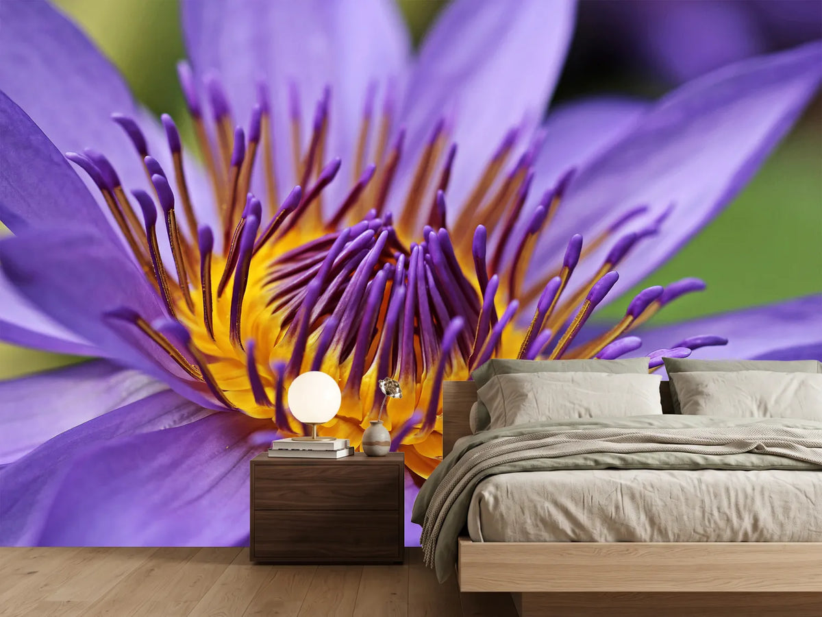 photo-wallpaper-xxl-water-lily-in-purple