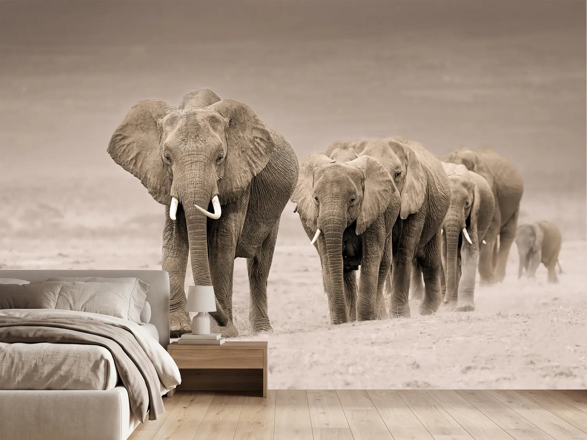 photo-wallpaper-african-elephant-procession