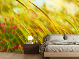 photo-wallpaper-the-wheat-field