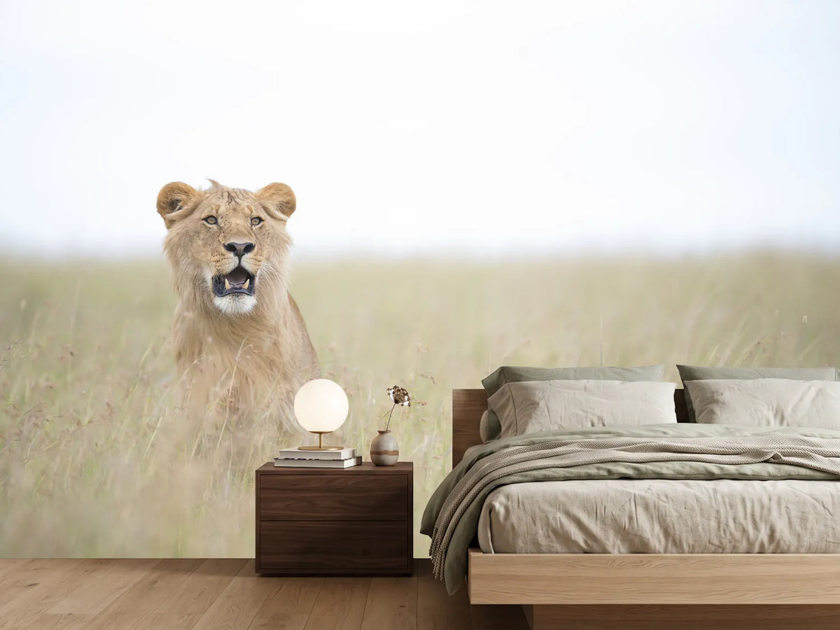 photo-wallpaper-young-lion