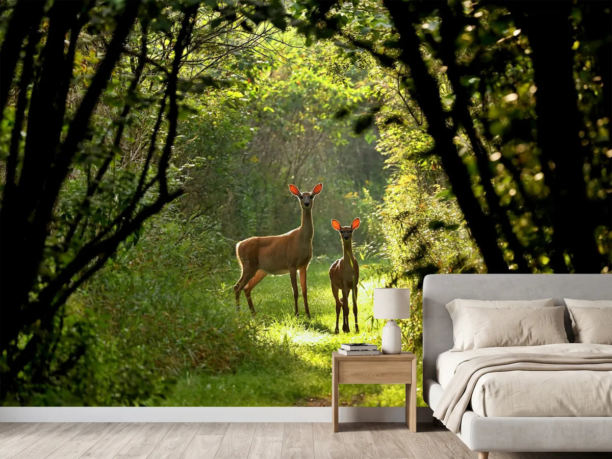 photo-wallpaper-white-tailed-deer-doe-and-fawn-near-city-park-in-wisconsin