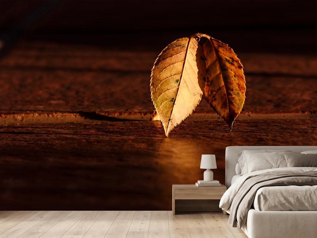 photo-wallpaper-the-leaf