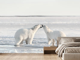 photo-wallpaper-morning-celebration-x