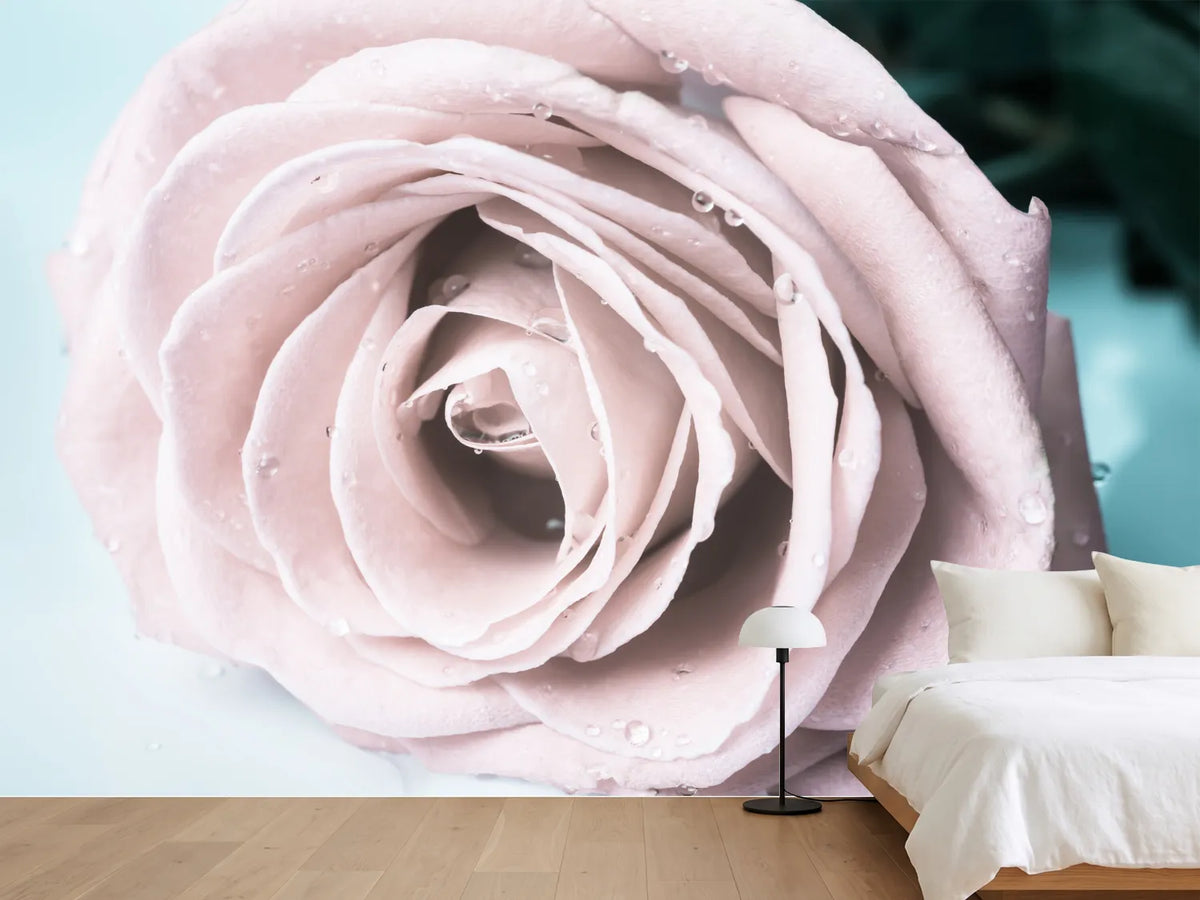 photo-wallpaper-pastel-rose