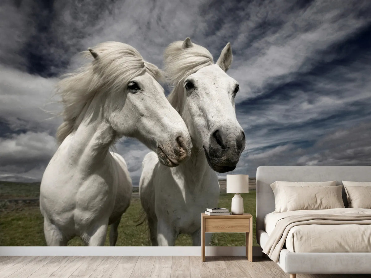 photo-wallpaper-inseparables-x