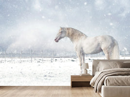photo-wallpaper-white-horse-snowfall