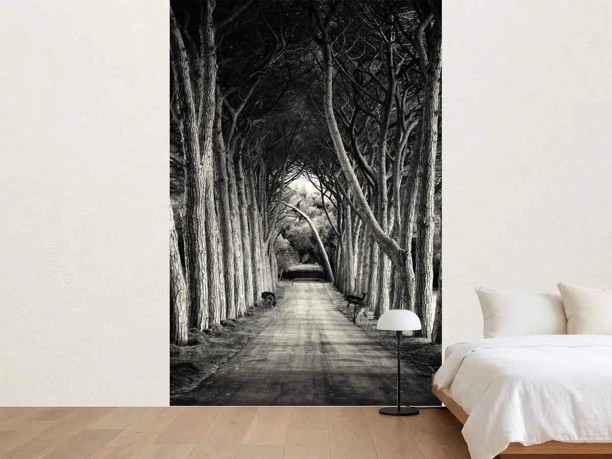 photo-wallpaper-alley
