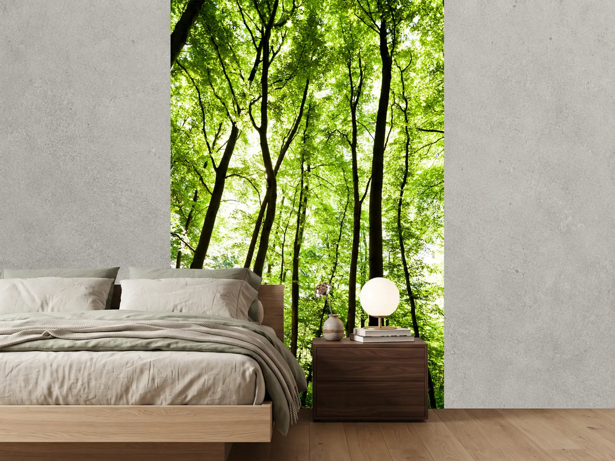 photo-wallpaper-forest