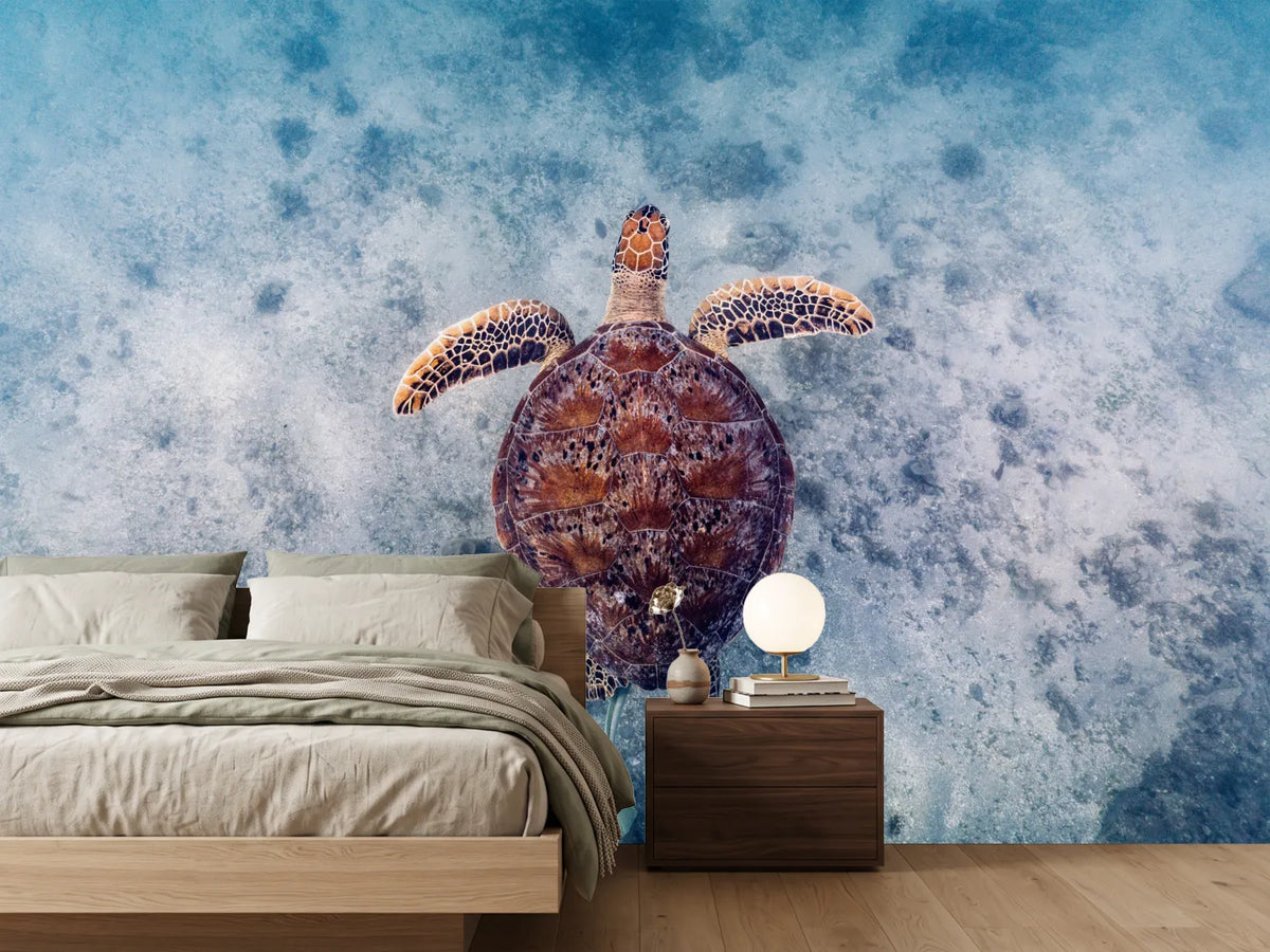photo-wallpaper-underwater-turtle-journey
