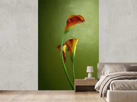 photo-wallpaper-3-callas