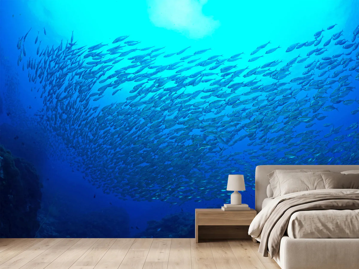 photo-wallpaper-fish-world