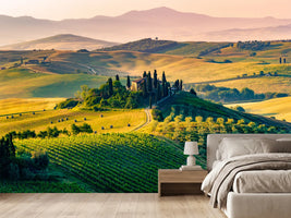 photo-wallpaper-tuscany-italy-landscape