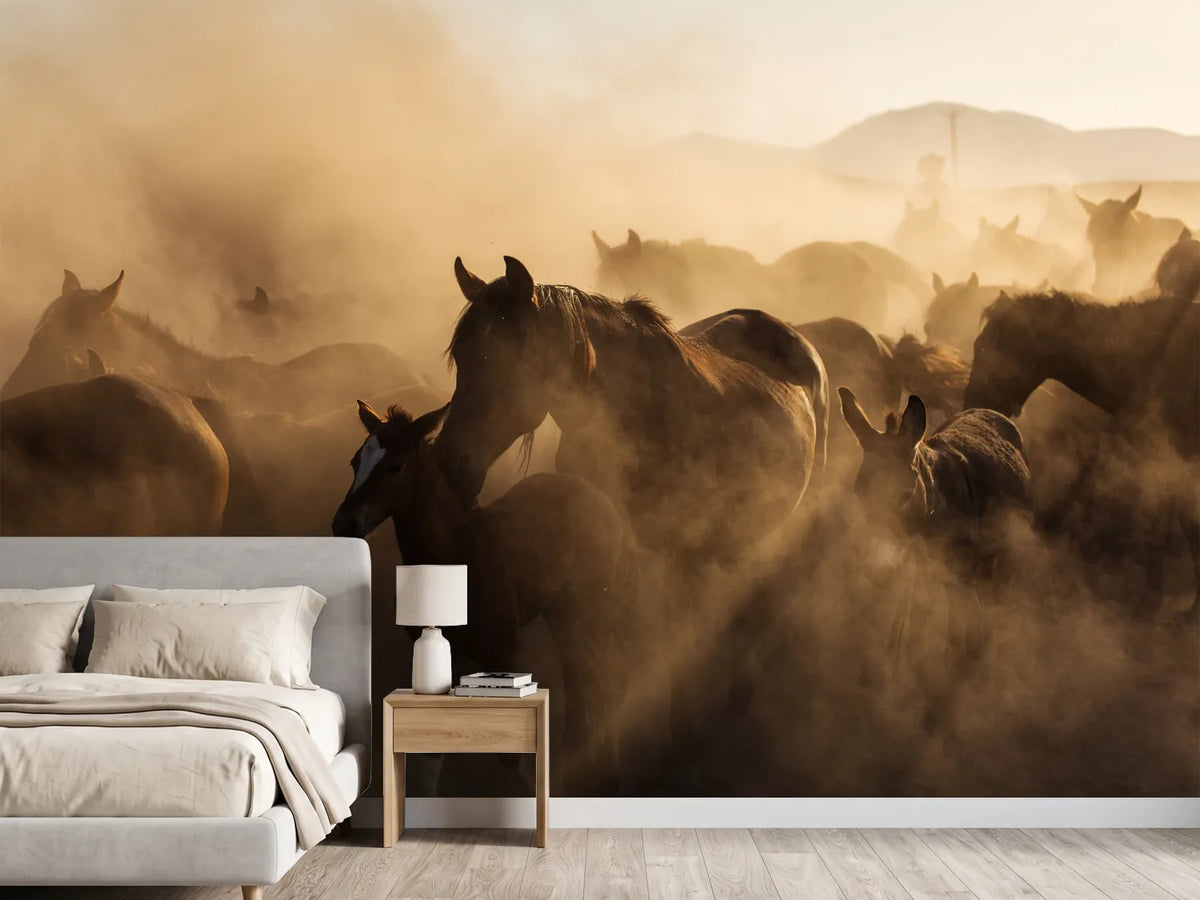 photo-wallpaper-wild-horse-herd-in-golden-dust-at-sundown