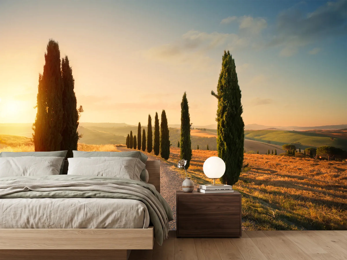 photo-wallpaper-italy-tuscany-countryside-rolling-hills-summer-farmland-and-country-road