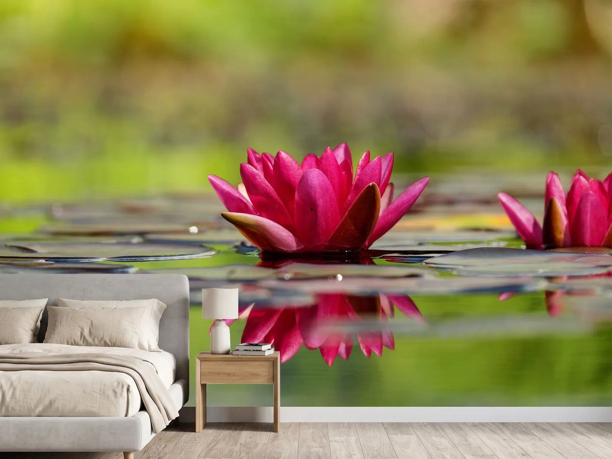 photo-wallpaper-red-water-lily-duo