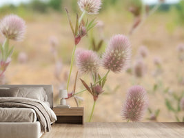 photo-wallpaper-delicate-flowers