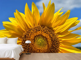 photo-wallpaper-sunflower-in-xxl