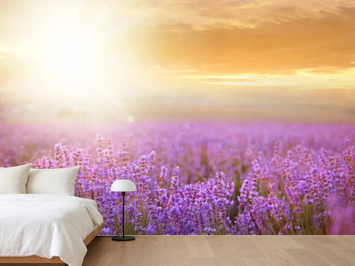 photo-wallpaper-sunset-in-lavender-field