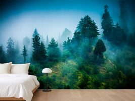 photo-wallpaper-mysterious-forest-ii