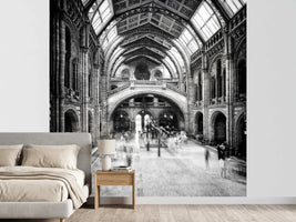 photo-wallpaper-natural-history-museum-of-london-x