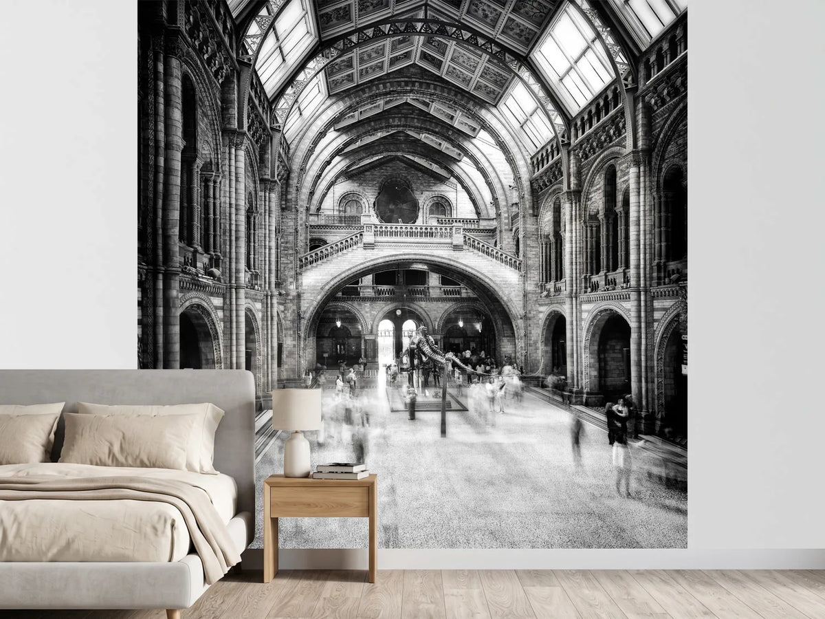 photo-wallpaper-natural-history-museum-of-london-x