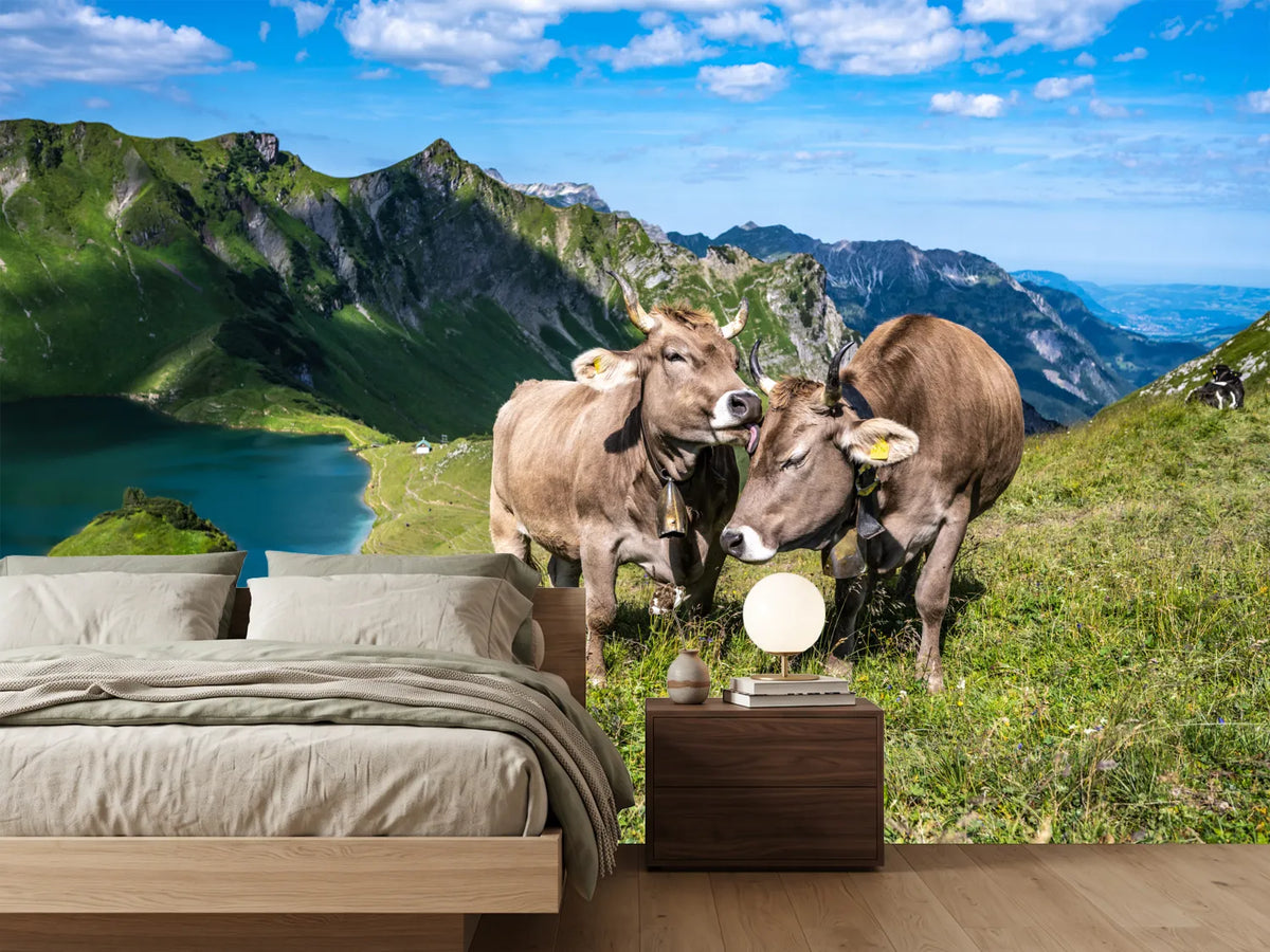 photo-wallpaper-cows-caressing-and-grooming