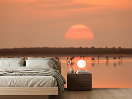 photo-wallpaper-flamingos-at-sunrise-x