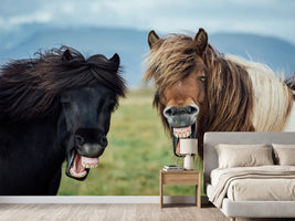 photo-wallpaper-wild-smile-x