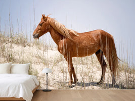 photo-wallpaper-wild-spanish-mustang