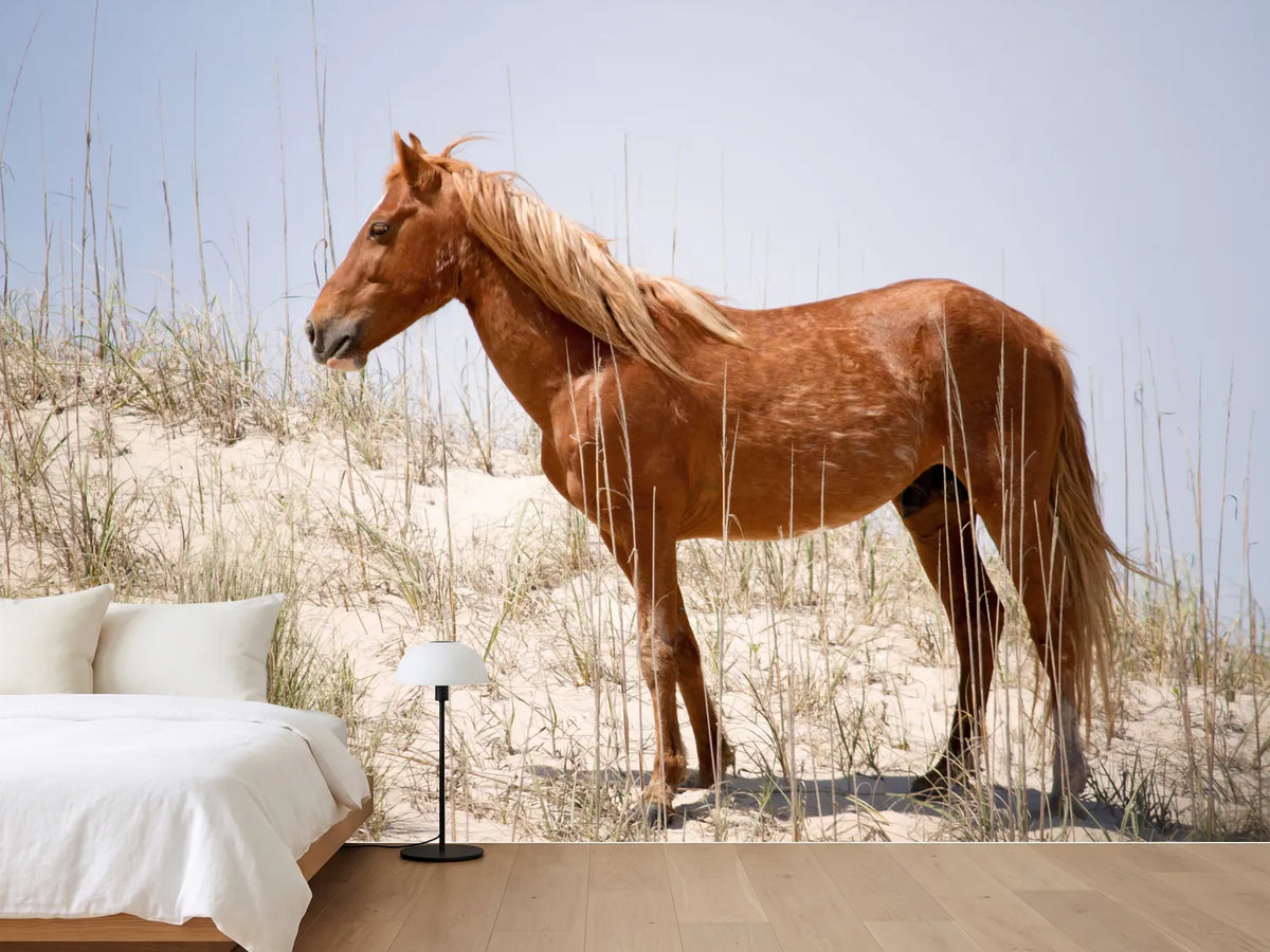 photo-wallpaper-wild-spanish-mustang