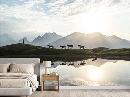 photo-wallpaper-horses-mountain-lake-reflection