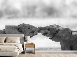 photo-wallpaper-greetings-x