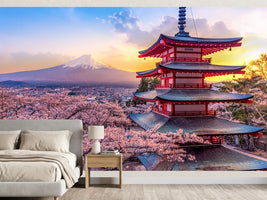photo-wallpaper-japan-in-cherry-blossom-spring