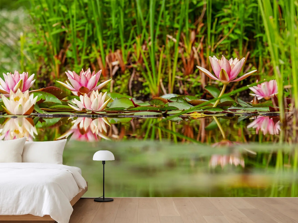 photo-wallpaper-wild-water-lilies