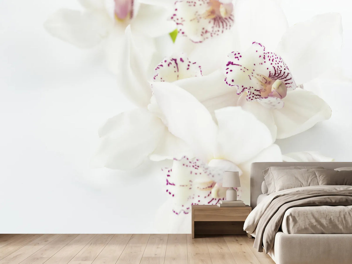 photo-wallpaper-fantastic-orchids
